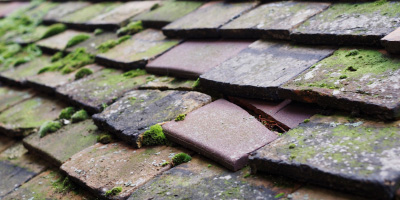 Hundridge roof repair costs